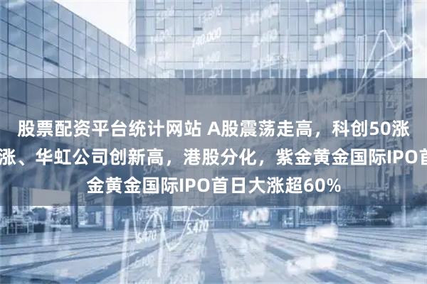 股票配资平台统计网站 A股震荡走高，科创50涨2%，芯片股大涨、华虹公司创新高，港股分化，紫金黄金国际IPO首日大涨超60%